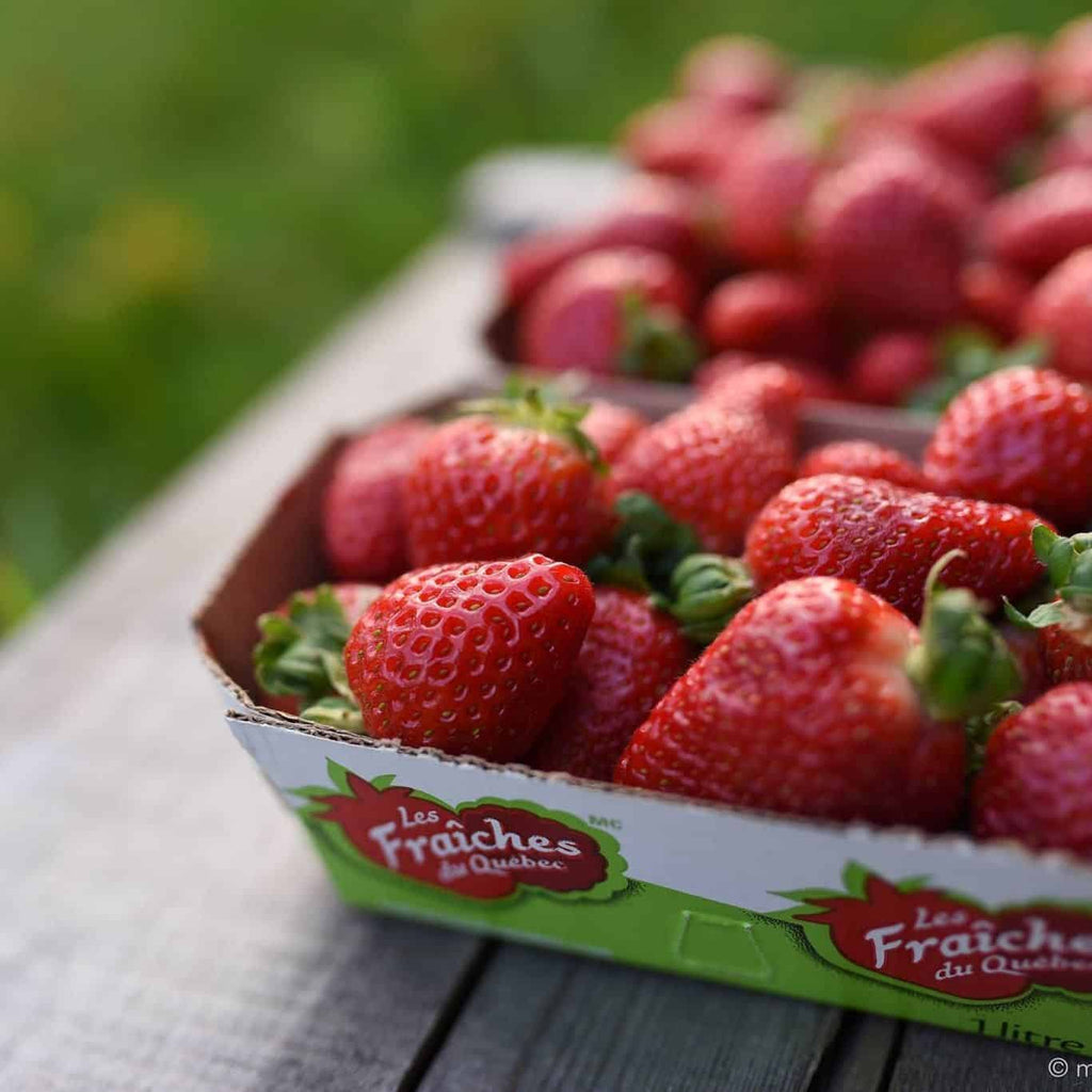 Fraises des champs
