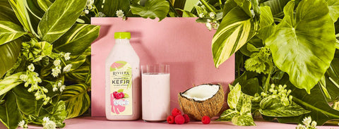 Kéfir au lait de coco framboise