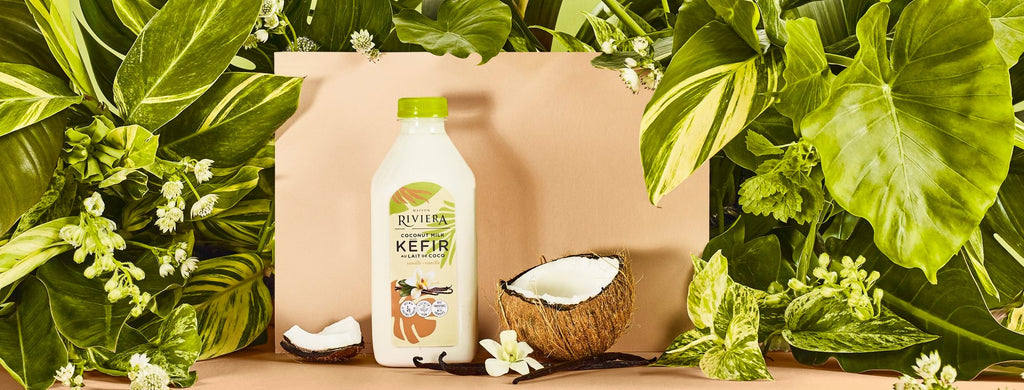 Kéfir au lait de coco vanille