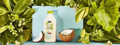 Kéfir lait de coco nature