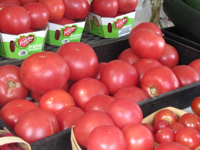 Tomates rouges de serres