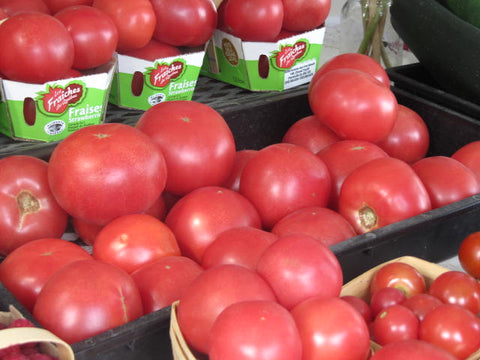 Tomates rouges de serres