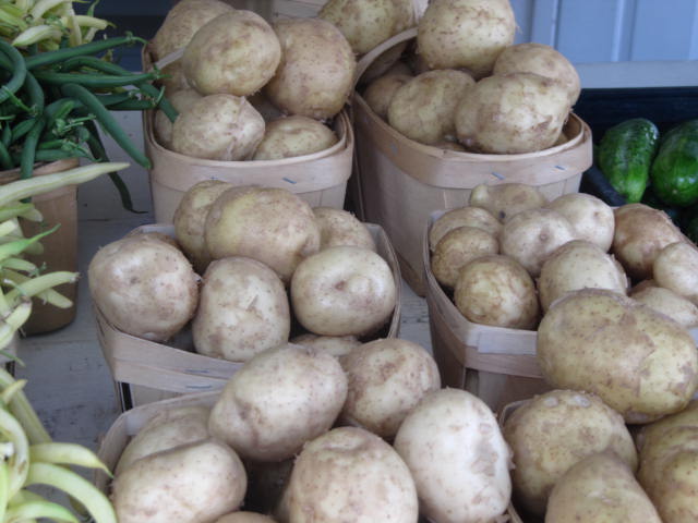 Pommes de terre blanches