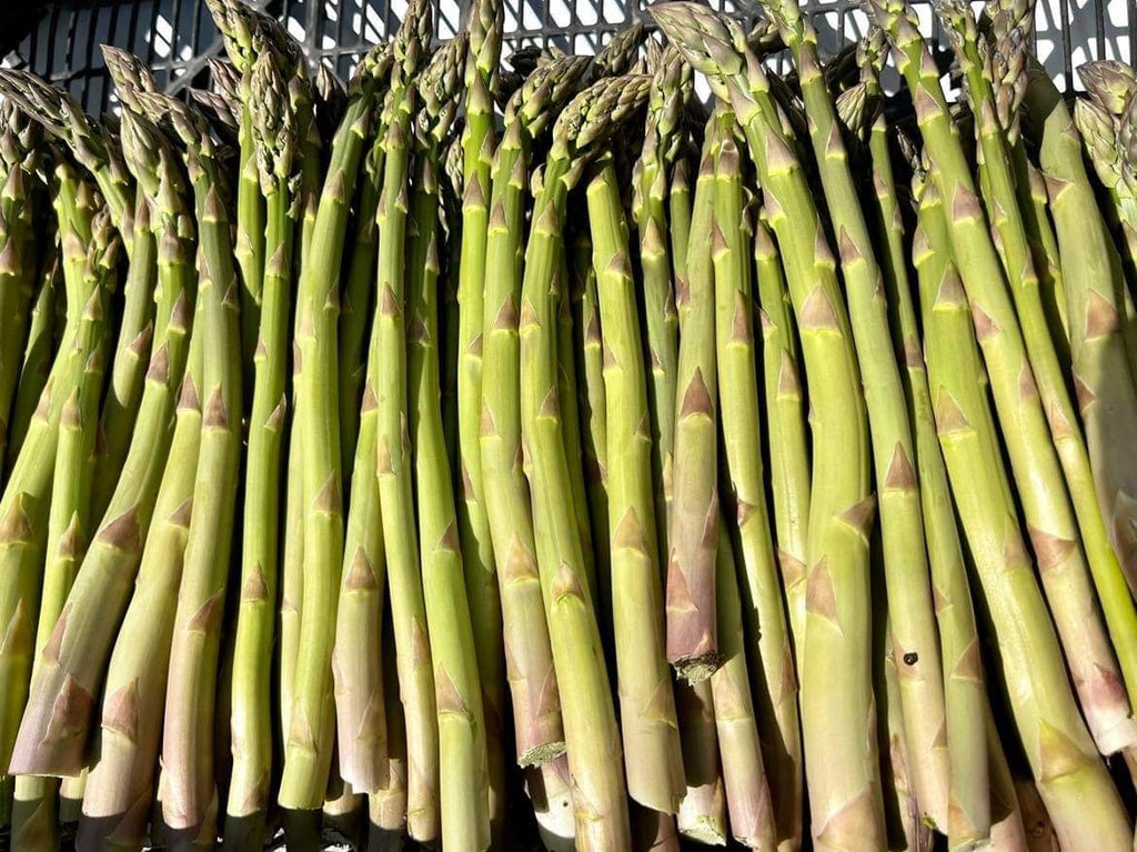 Asperges