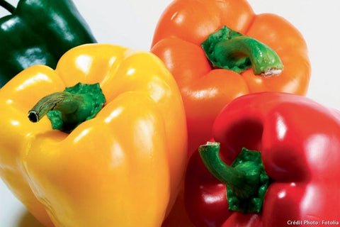 Poivrons de serre de couleurs