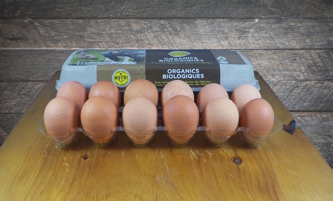 Oeufs bruns gros biologiques