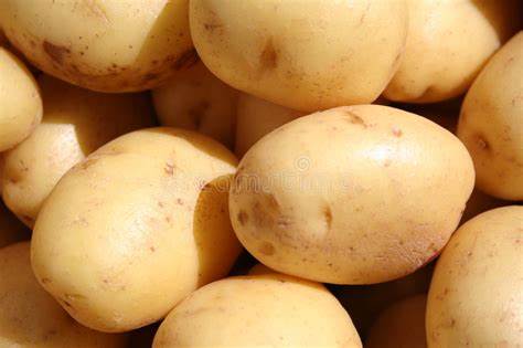 Pommes de terre blanches nouvelles